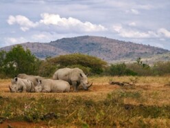 Hluhluwe-iMfolozi Park