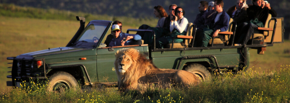 Pirschfahrt der Garden Route Game Lodge