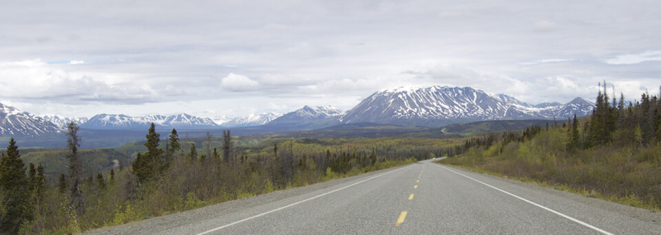 Yukon Reisebericht: Haines Highway