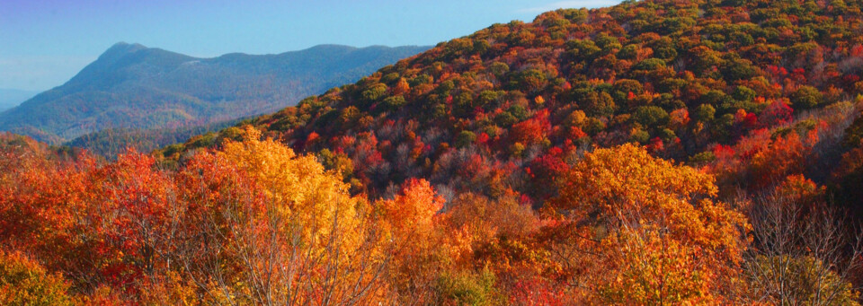 Blue Ridge Mountains im Herbst, North Carolina