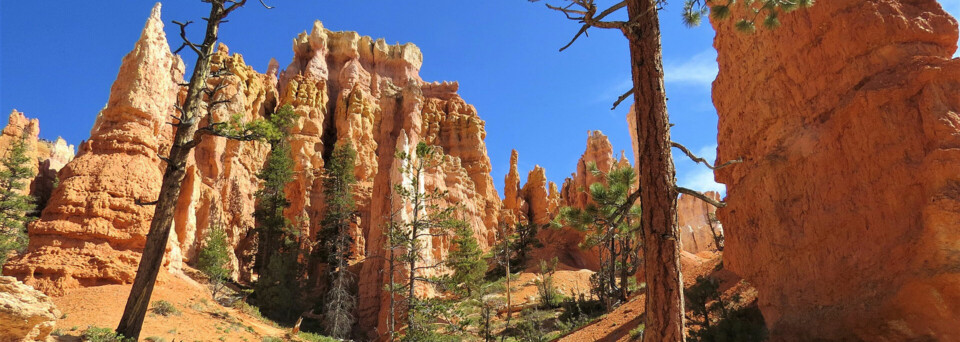 Bryce Canyon Nationalpark