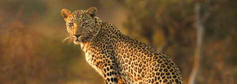 Atemberaubendes Namibia - Classic