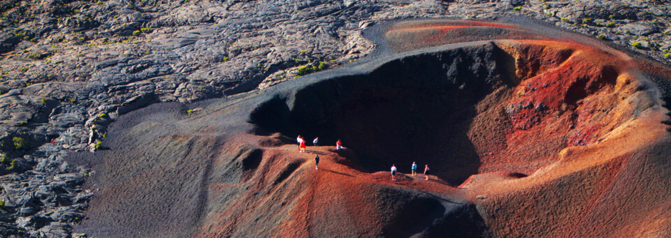 Krater Formica Leoauf La Reunion