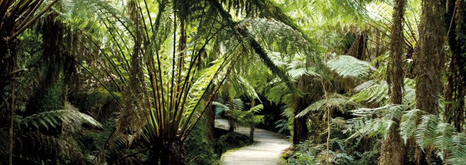 Great Otway Nationalpark