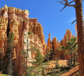 Bryce Canyon Nationalpark Bryce Canyon Nationalpark