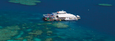 Reef Magic Cruises
