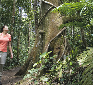 Atherton Tablelands Queensland Atherton Tablelands Queensland