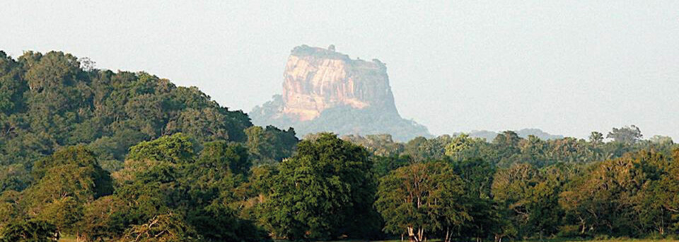 Löwenfelsen Sigiriya