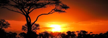 Von Nairobi nach Sansibar – Serengeti & Sandstrände