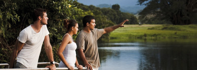 Daintree Regenwald