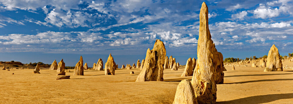 Pinnacles