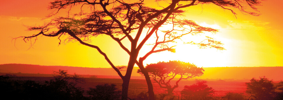 Sonnenuntergang im Serengeti Nationalpark