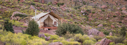 Zion Under Canvas®