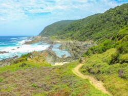 Tsitsikamma Nationalpark Otter Trail