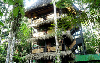 Ecuador Reisebericht - Tapir Lodge