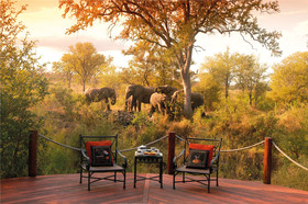 Hoyo Hoyo Safari Lodge im Krüger Nationalpark