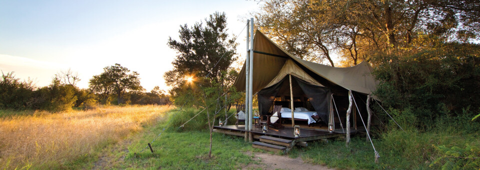 Plains Camp Zelt Rhino Post Safari Lodge Krüger Nationalpark