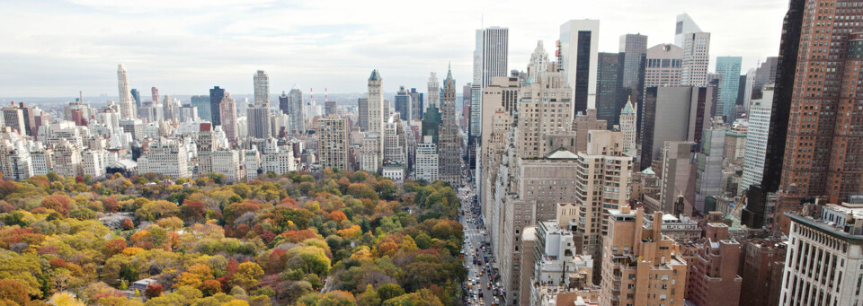 New York - Central Park