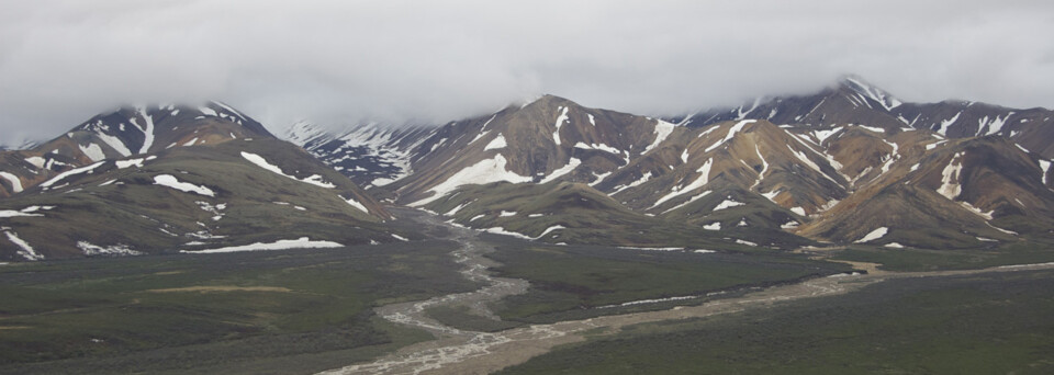 Alaska Reisebericht: Denali Nationalpark