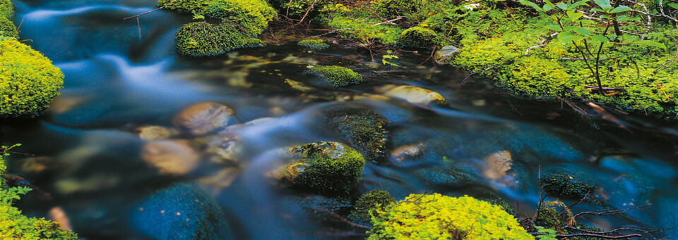 Fiordland Nationalpark