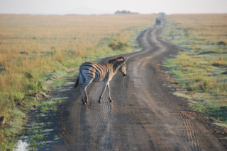 Südafrika Jeep Safari