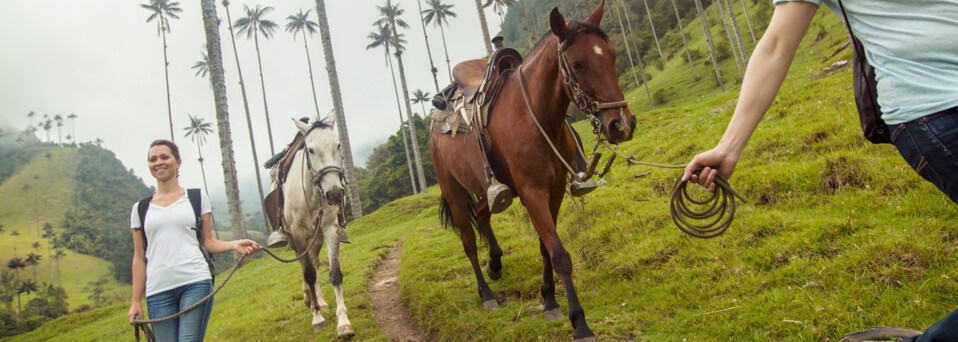 Mit Pferden im Cocora-Valley Armenia Kolumbien