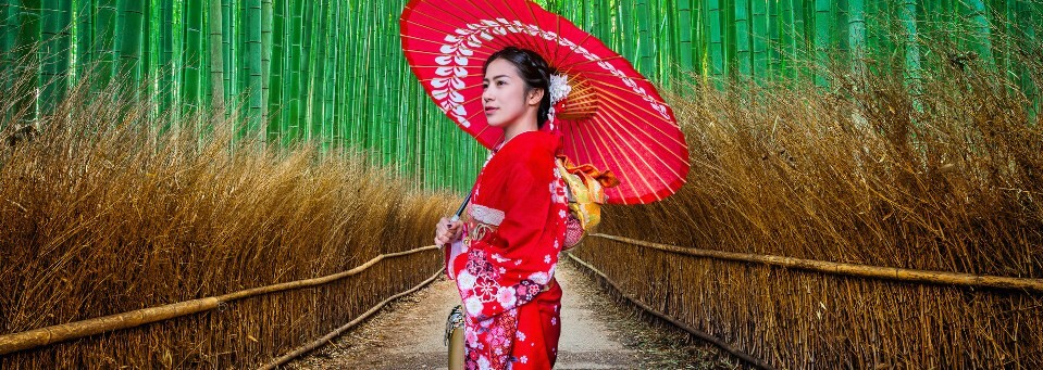 Geisha im Kyoto Bambuswald Arashiyam