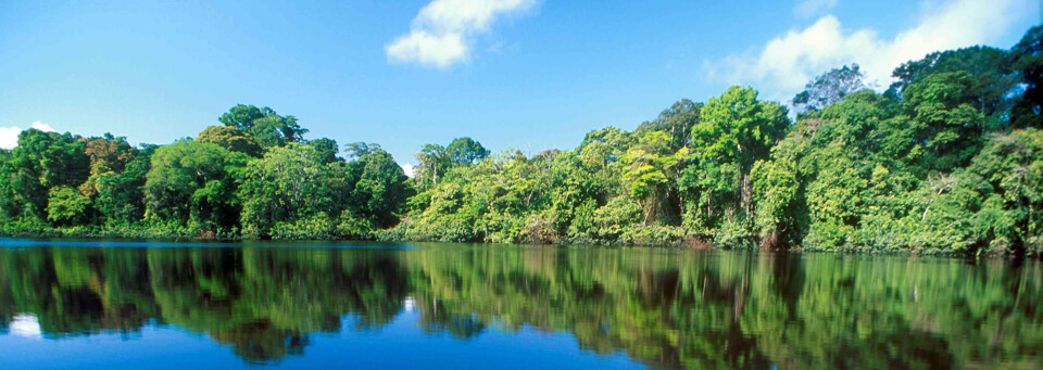 Tortuguero Nationalpark