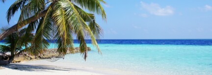 Reethi Faru Bio Luxury Resort