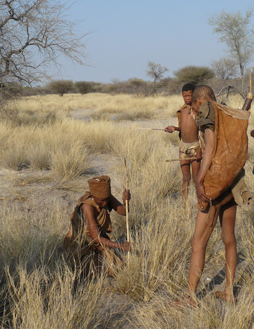 Reisebericht Botswana: Buschwanderung mit den San Buschmännern in Ghanzi