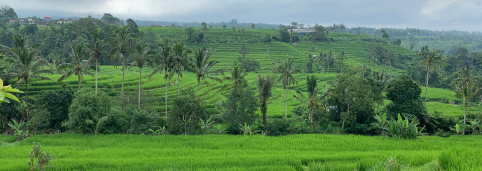 Jatiluwih Reisterrassen Bali