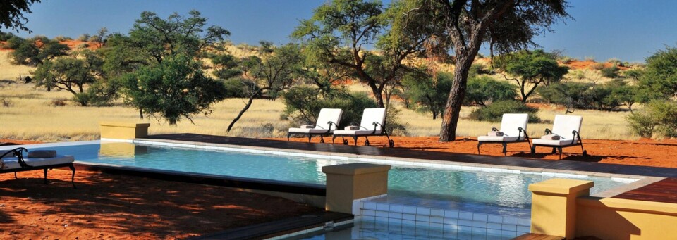 Pool der Zebra Kalahari Lodge