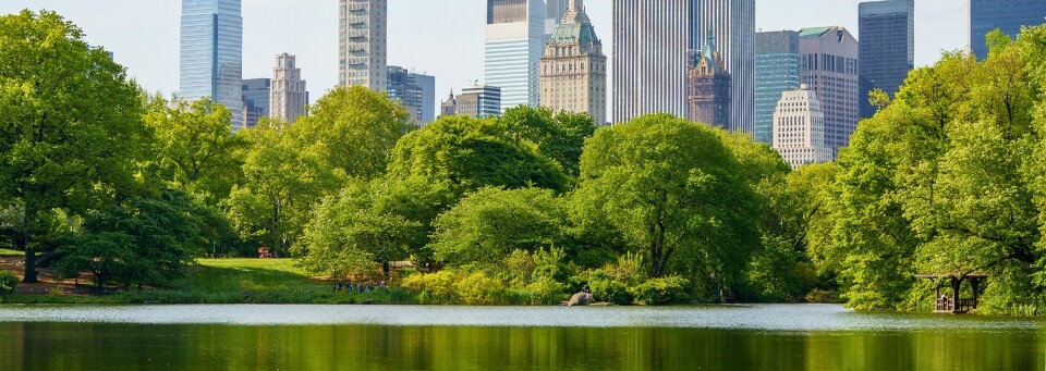 Central Park New York City
