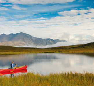 Denali Nationalpark Alaska Denali Nationalpark Alaska