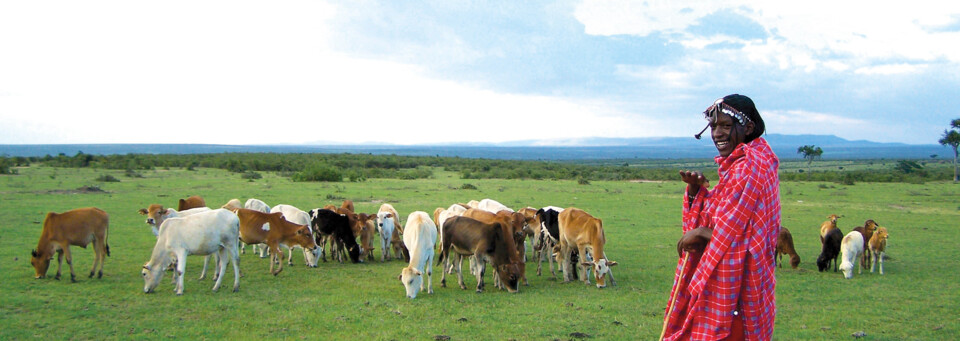 Masai Mara vor Herde