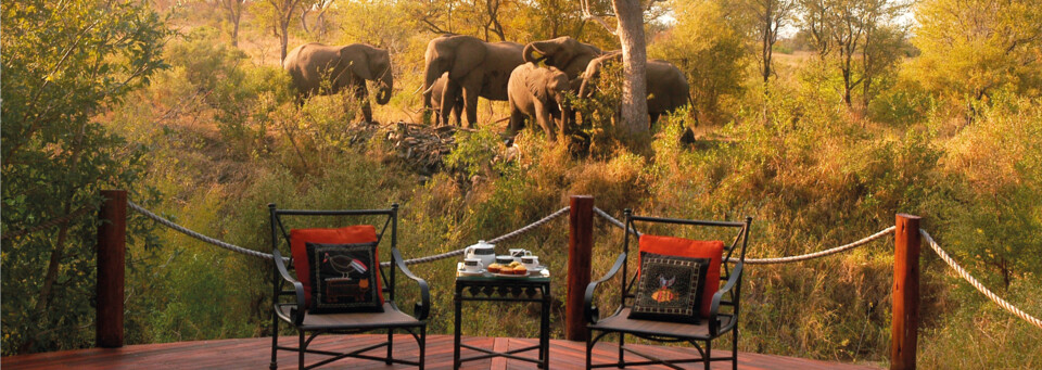 Terrasse Hoyo Hoyo Safari Lodge Krüger Nationalpark