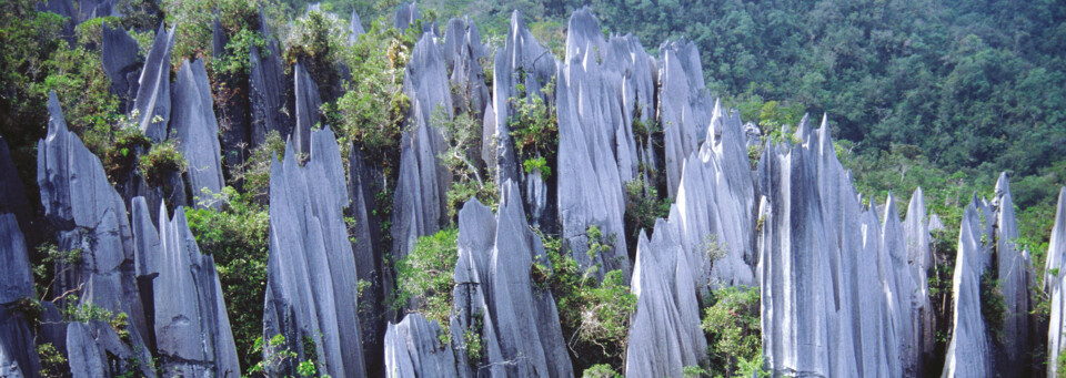 Mulu Nationalpark