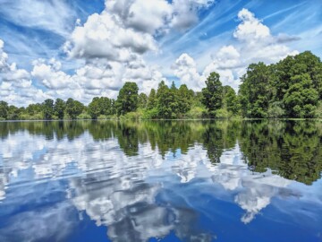 Lettuce Lake Park, Tampa, Florida