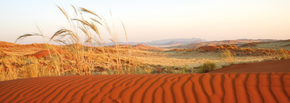Landschaft in der Namib Wüste