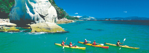 Coromandel Kayak Tour