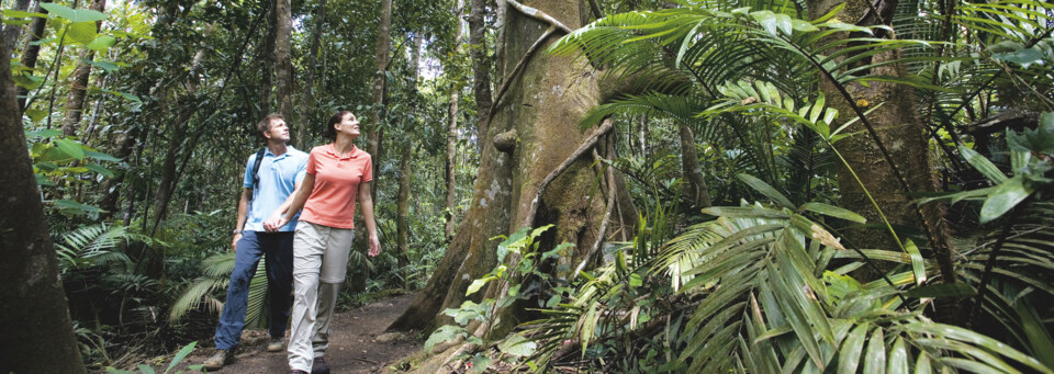 Atherton Tablelands Queensland