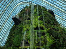 Cloud Forest Dome