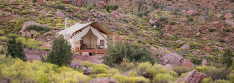 Zion Under Canvas®