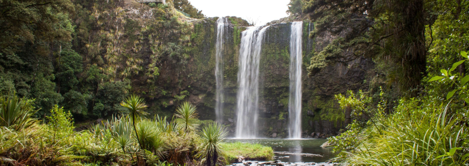  Whangarei Wasserfall, Bay of Islands