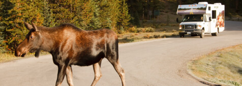 © Cruise Canada RV Rentals