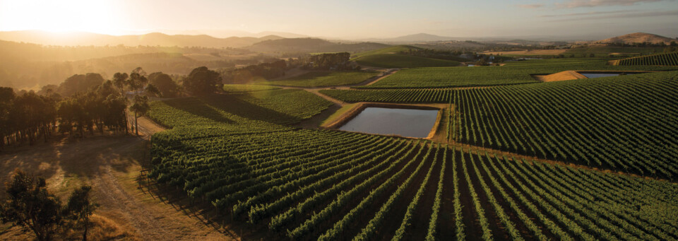 Yarra Valley