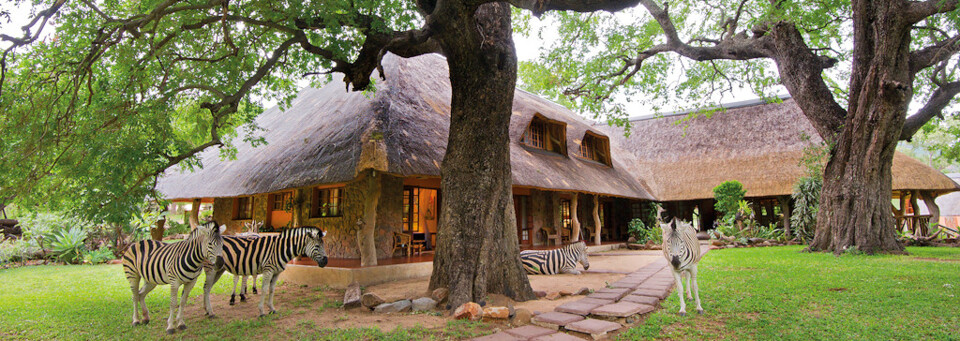 Blyde River Canyon Lodge - Garten