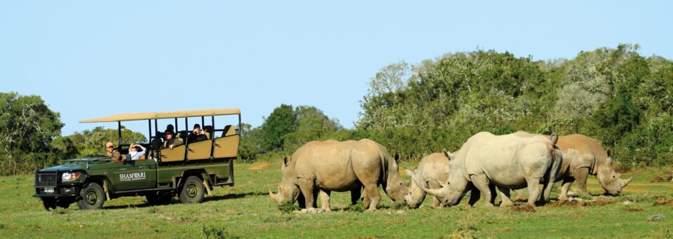 Gamedrive im Shamwari Game Reserve