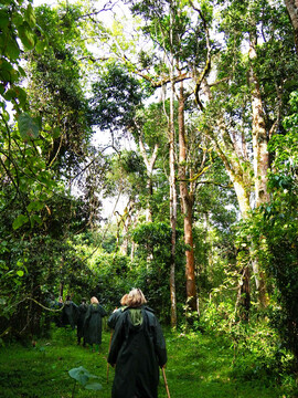 Kenia Reisebericht - Wanderung im Mount Kenya Nationalpark