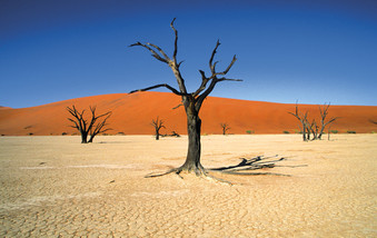 Sossusvlei Landschaft Namib Wüste Namibia